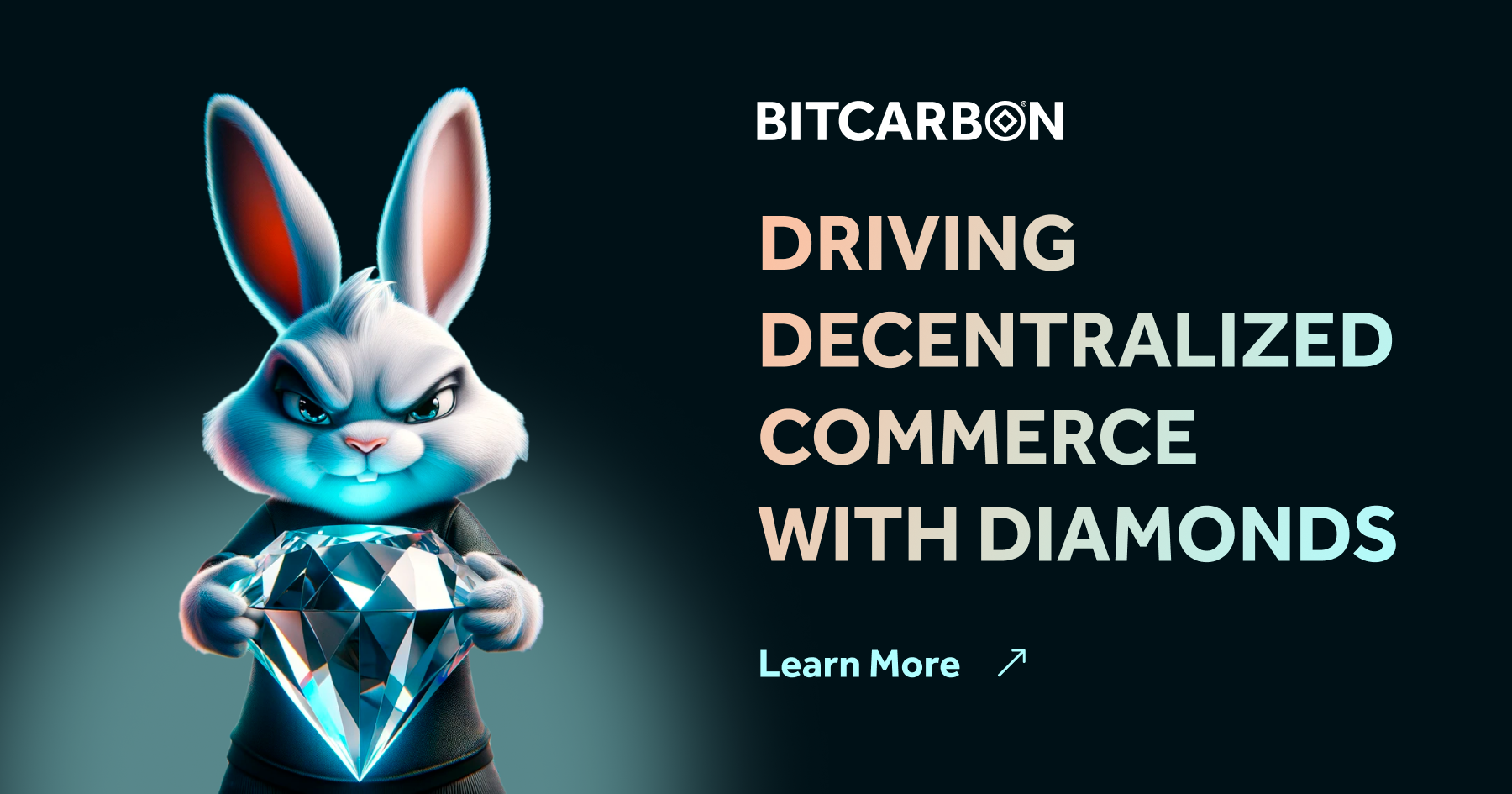 Overview - Bitcarbon